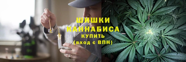 шишки Менделеевск
