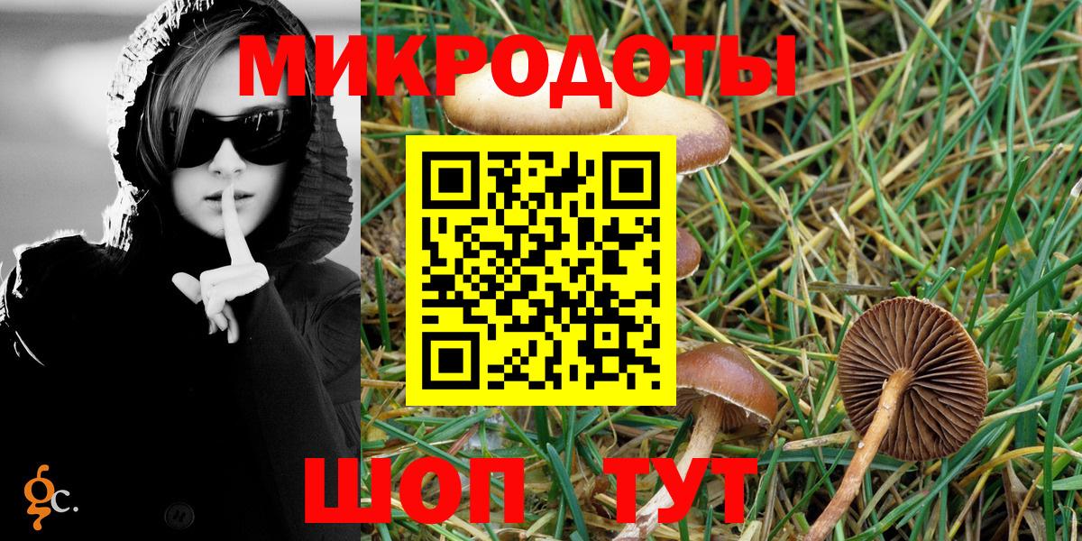 Псилоцибиновые грибы Psilocybe Ангарск
