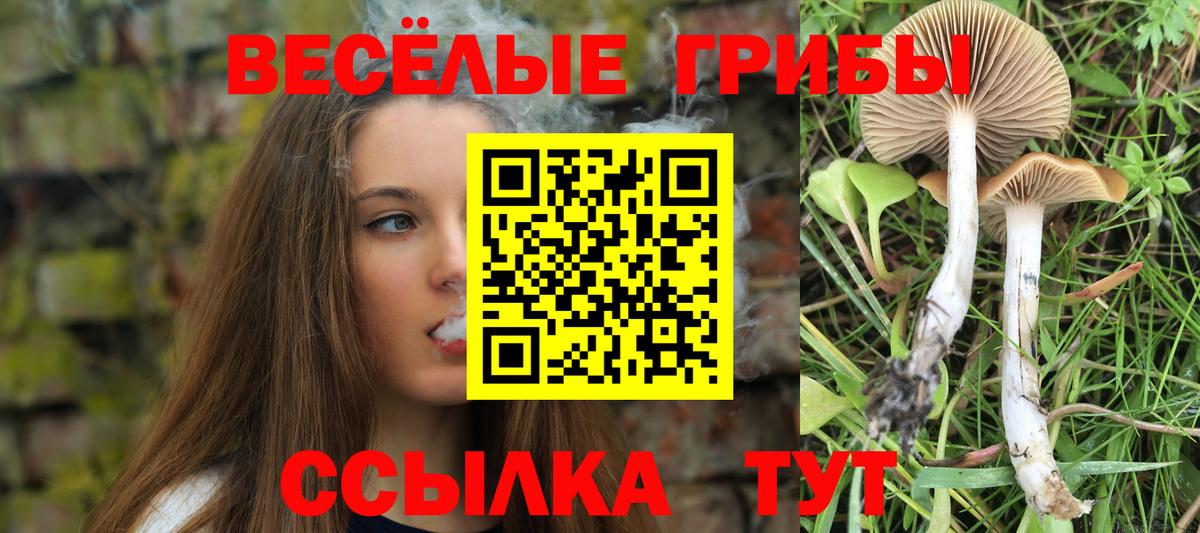 Ангарск  Галлюциногенные грибы мухоморы  Вход с VPN 