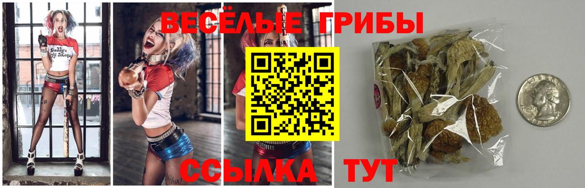 Галлюциногенные грибы ЛСД  Вход с VPN  закладка  Галлюциногенные грибы мухоморы  Ангарск 